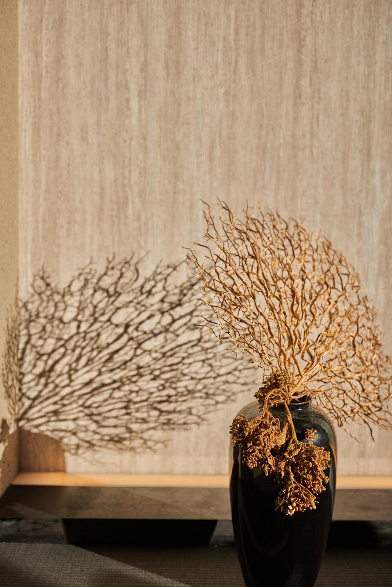 Hakuba Hibiku Chalet By Jade Group Zewnętrze zdjęcie